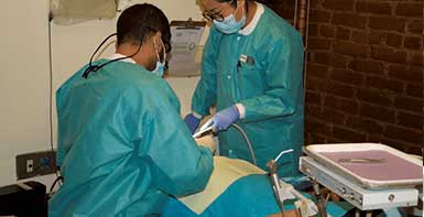 Family Dental Care  Chelsea MA, DR GURU